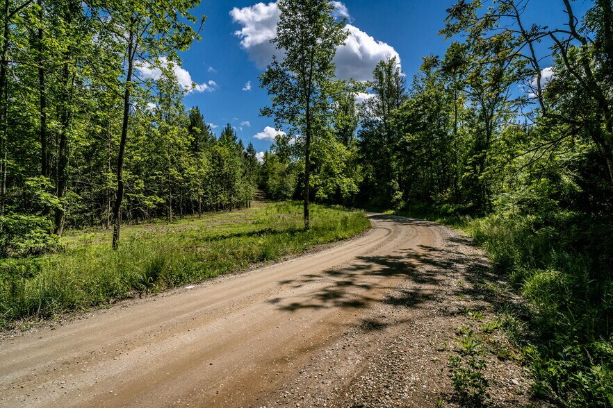 More Photos Of tbd Green Creek Rd, Schuyler Land For Sale