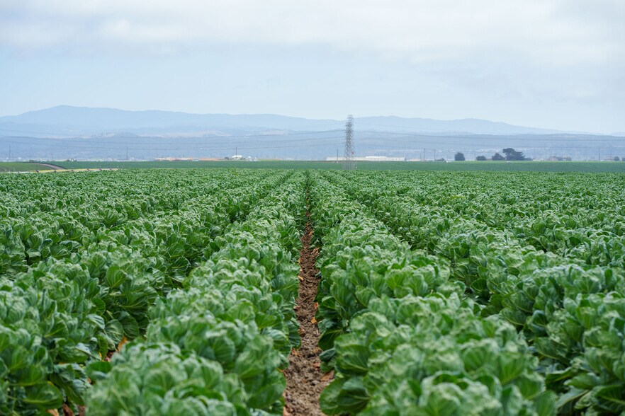 More Photos Of 630 Boronda Rd, Salinas Land For Sale