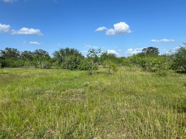 More Photos Of FM 2814, Waelder Land For Sale