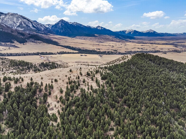 More Photos Of NHN (Parcel A-2) Suce Creek Road, Livingston Land For Sale