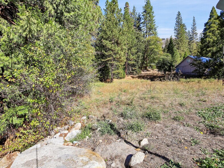 More Photos Of 13651 US Hwy 50, Kyburz Land For Sale