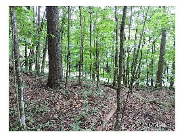 More Photos Of 329 Hamlin Lane, Mars Hill Land For Sale