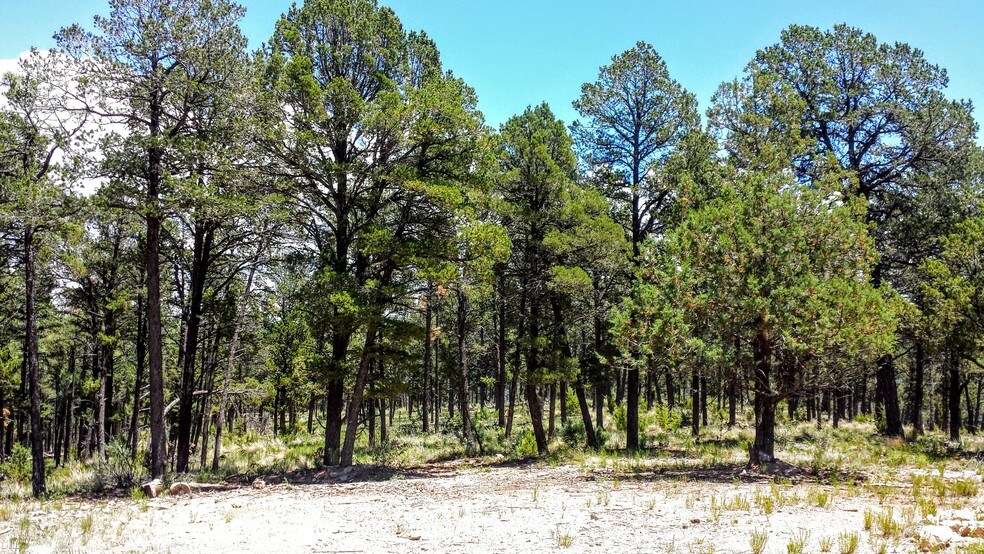 More Photos Of Bosque Vereda Rd @ Guenevere Avenue, Ruidoso Land For Sale