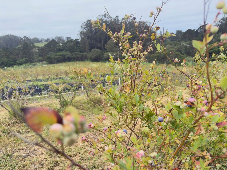 More Photos Of 117 Rancho Rd, Watsonville Land For Sale