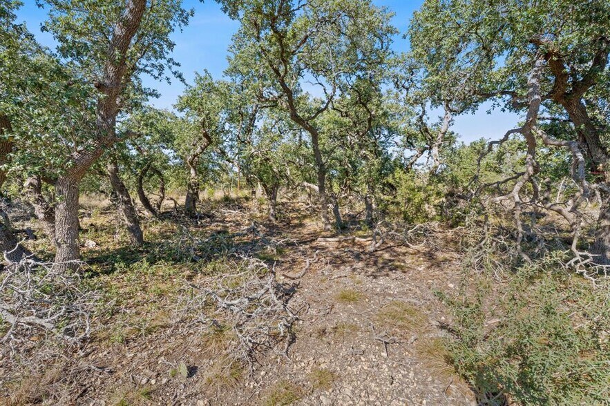 More Photos Of 3981 & 3983 U.S. 290, Dripping Springs Land For Sale