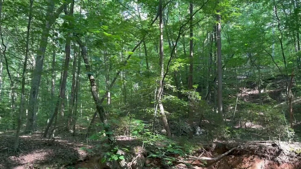 More Photos Of 400 Eden Church rd, Madison Land For Sale