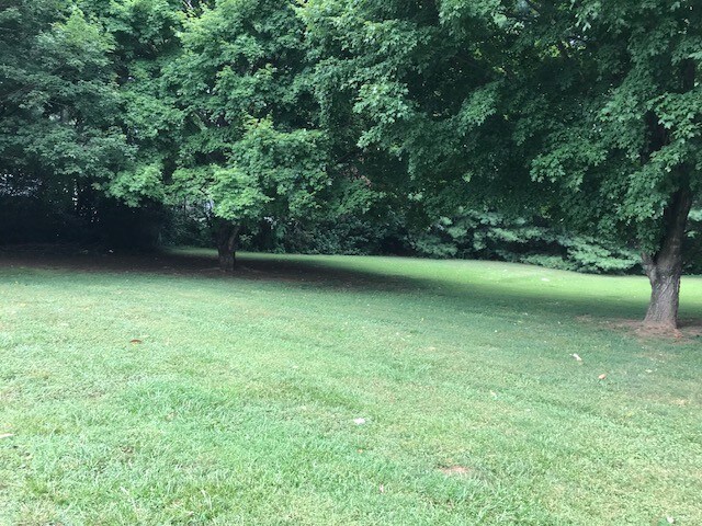 More Photos Of 609 E Church St, China Grove Land For Sale