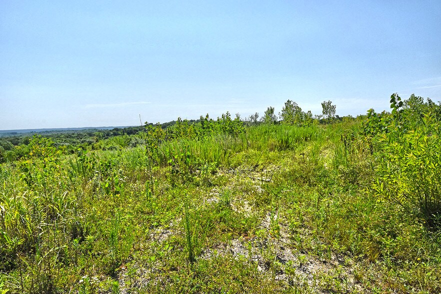 More Photos Of 132 Saint Marys Rd, Villa Ridge Land For Sale