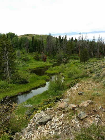 Primary Photo Of Jack Creek Road, Saratoga Land For Sale