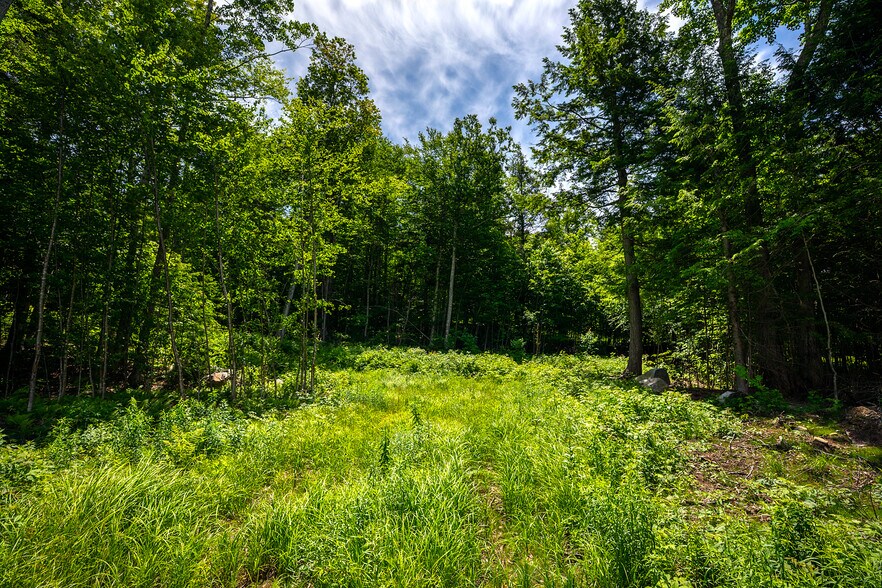More Photos Of 0 Little Pond Road, Andover Land For Sale