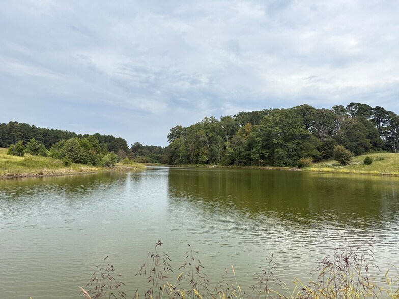 More Photos Of 715 SC-246, Greenwood Land For Sale