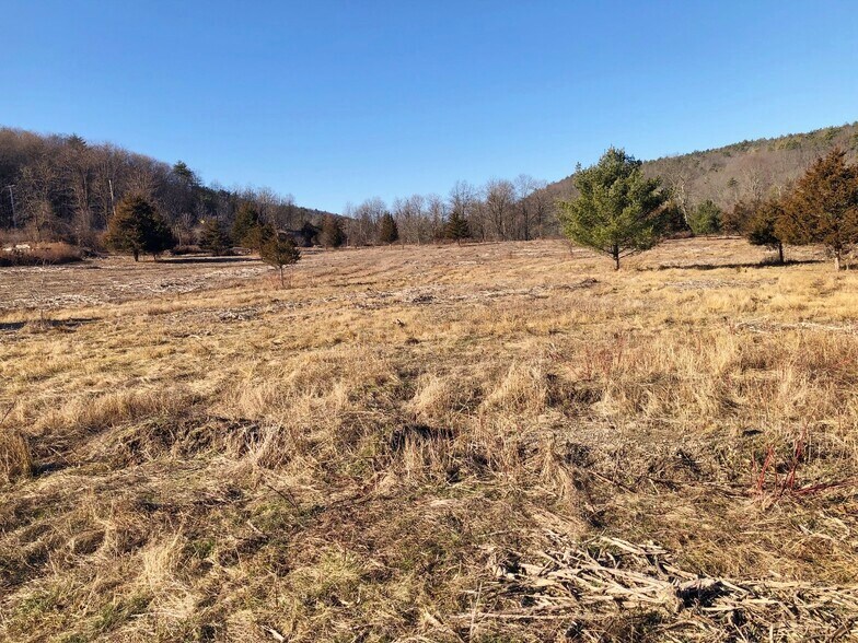 More Photos Of 308 NY-28, Kingston Land For Sale