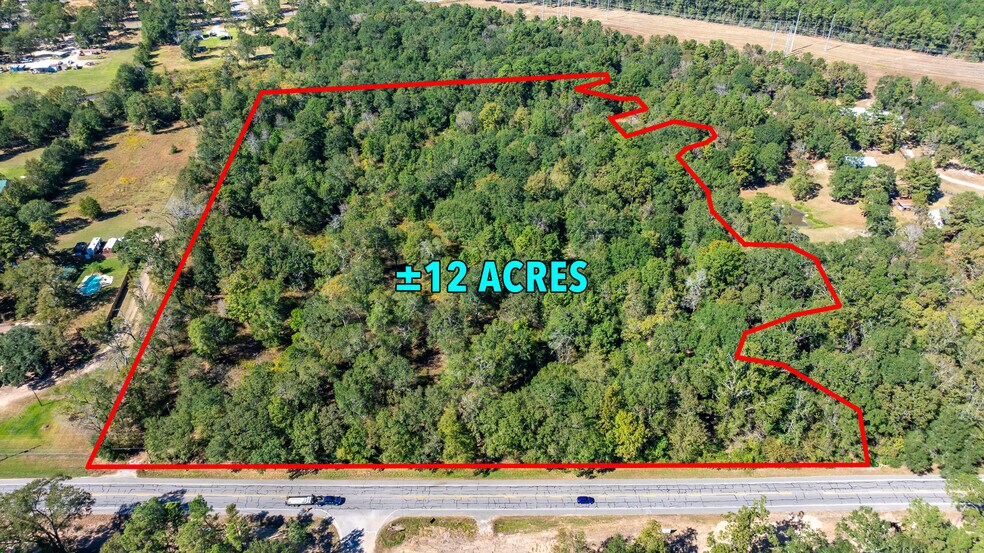 Primary Photo Of 13209 FM 1097 Rd E, Willis Land For Sale