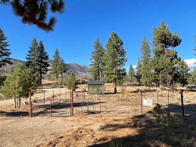 More Photos Of 415-025 Scott Rd, Doyle Land For Sale