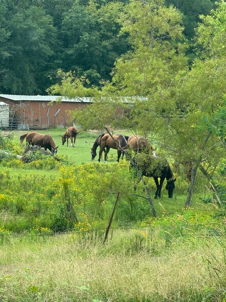 More Photos Of 2258 Co 46 Rd, Shelby Restaurant For Sale
