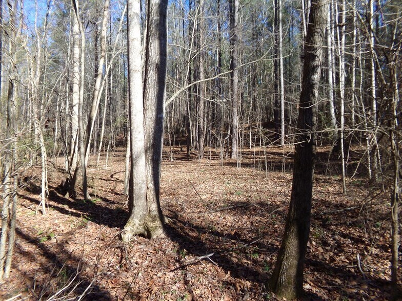 More Photos Of 41 ACRES Hwy 55 Hwy, Clover Land For Sale