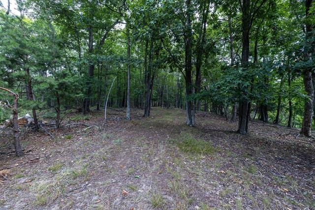 More Photos Of 22590 Criders Rd, Criders Land For Sale