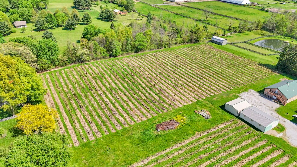 More Photos Of 1900 Winchester Southern Rd, Canal Winchester Winery Vineyard For Sale