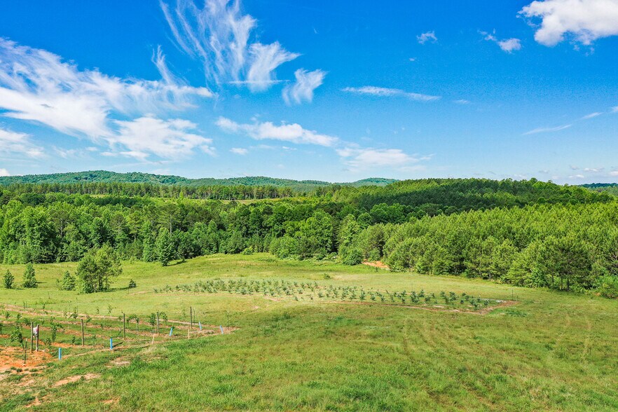 More Photos Of 119 Inland Dr, Talking Rock Winery Vineyard For Sale