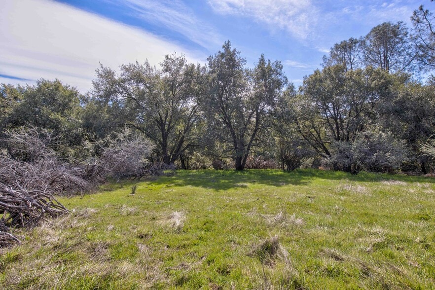 More Photos Of 18800 Charleston Rd, Volcano Land For Sale