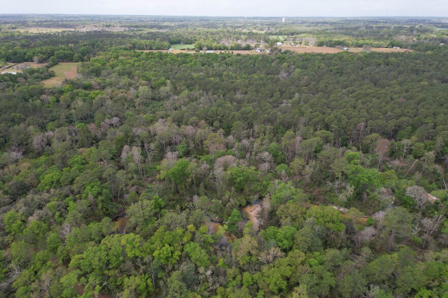More Photos Of 12960 County Road 48, Silverhill Land For Sale