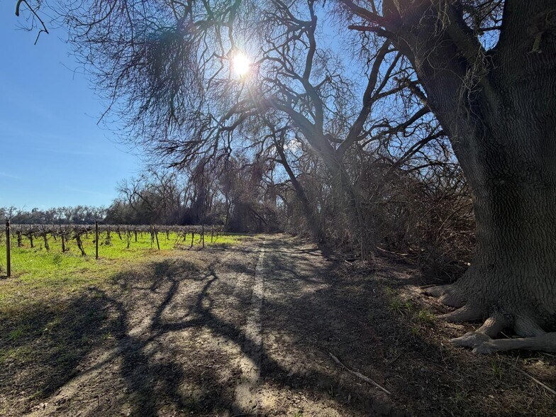 More Photos Of 9590 Kost rd, Galt Land For Sale