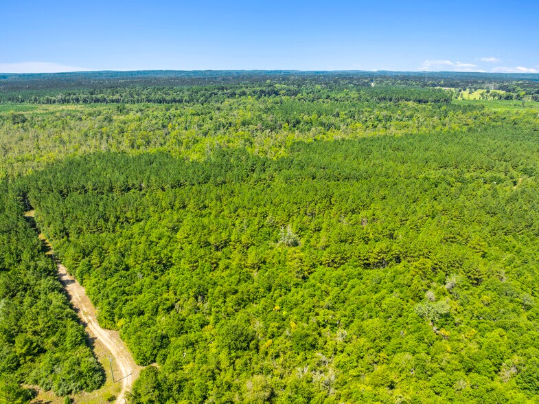 More Photos Of 7471 Highway 155, Saline Land For Sale