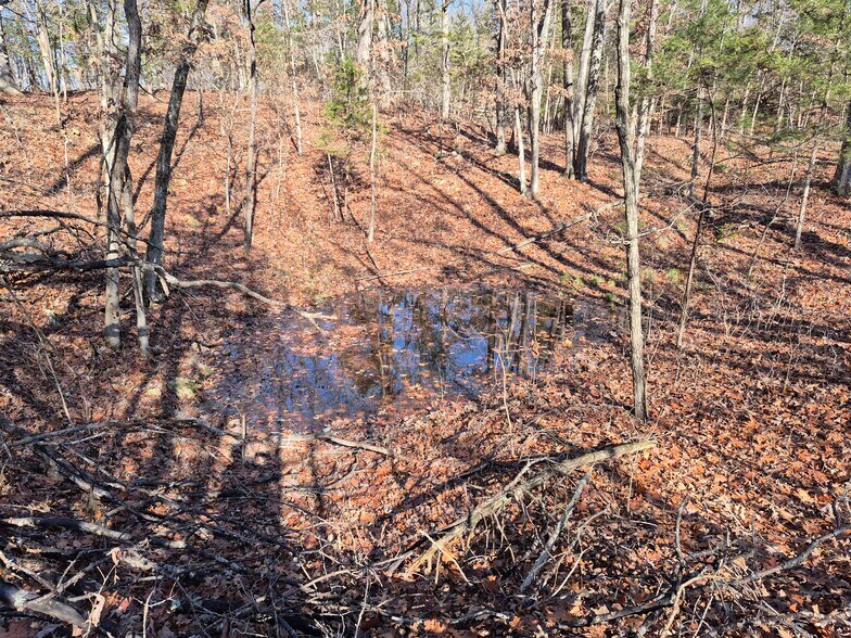 More Photos Of Logan School Rd. (30.2+/- Acres), New Florence Land For Sale