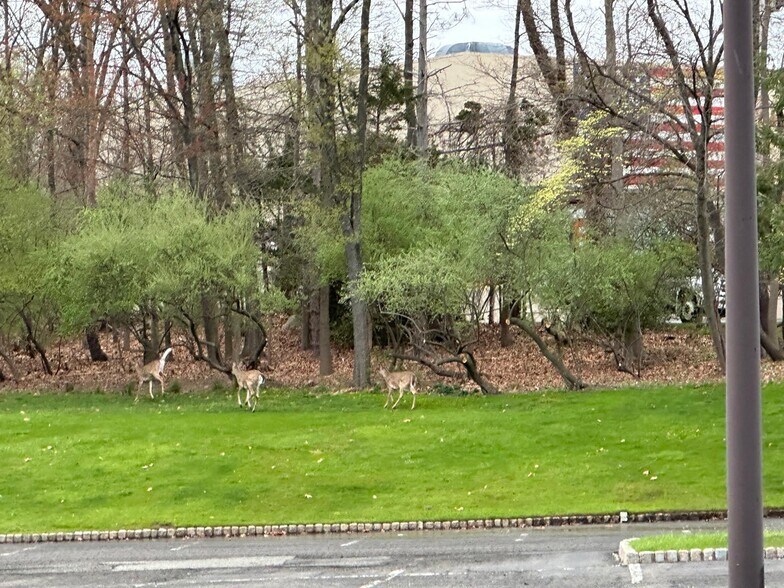 More Photos Of 6 Arrow Rd, Ramsey Office For Lease