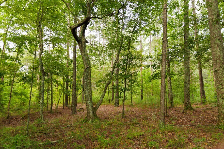 More Photos Of 2199 Roosterville Rd, Roopville Horse Stables For Sale