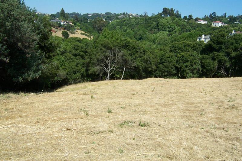 More Photos Of 25730 University Ct, Hayward Land For Sale