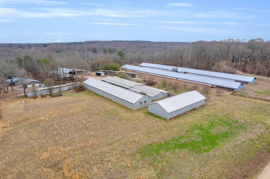 More Photos Of Chatham Rd, Homer Land For Sale