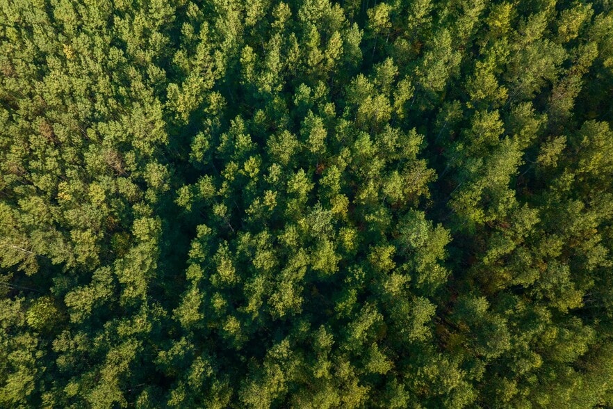 More Photos Of 2108 River Hill Road, Murphy Land For Sale