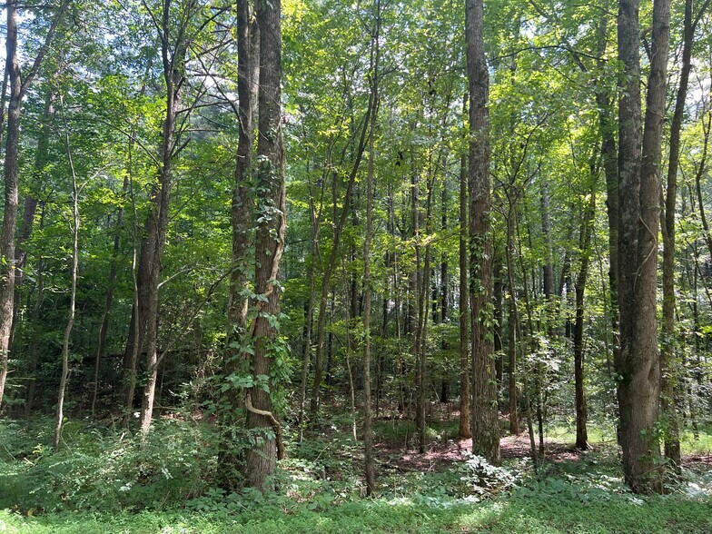 More Photos Of Hwy 411 & Maxwell Rd, Rydal Land For Sale