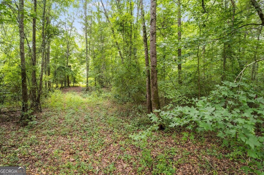 More Photos Of 104 Martin Cemetery Rd, Carrollton Land For Sale