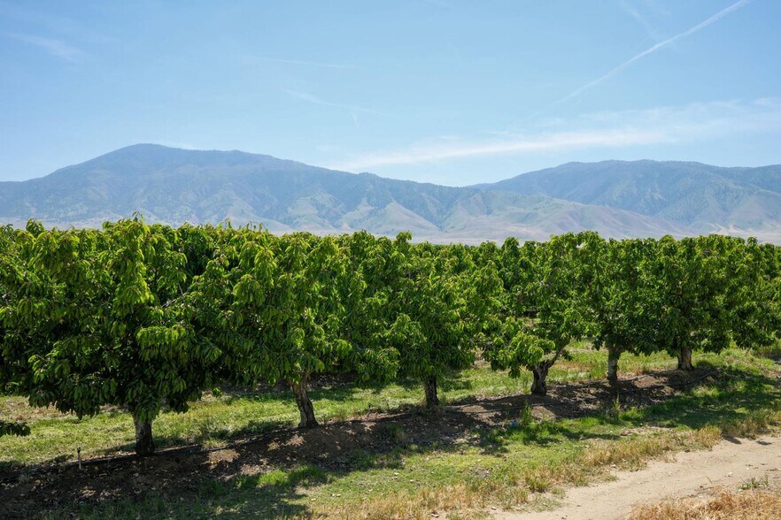More Photos Of 0 Rock Pile Road, Arvin Land For Sale