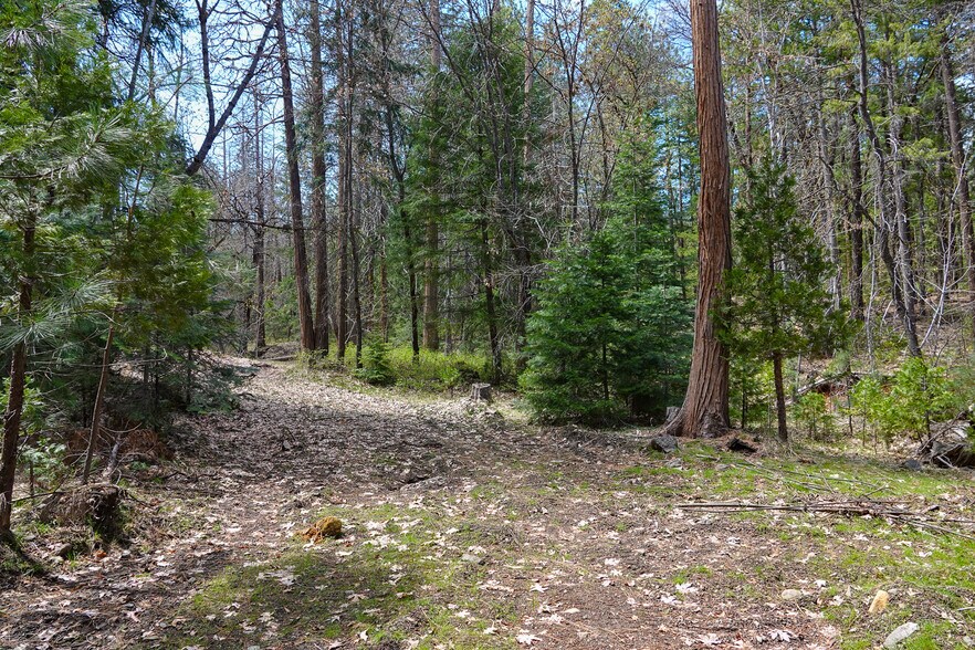 More Photos Of 9936 Sniktaw Ln, Fort Jones Land For Sale