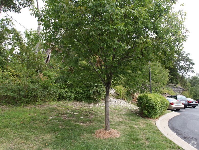 More Photos Of 19551 E Us-40 Hwy, Blue Springs Land For Sale