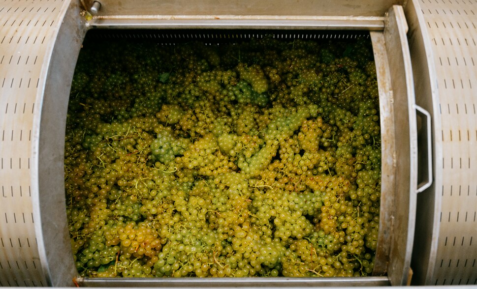 More Photos Of 5138 Lower Mountain Rd, Lockport Winery Vineyard For Sale