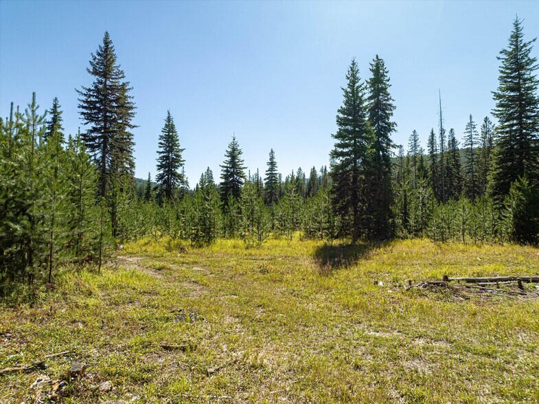 More Photos Of Nhn Logan Creek Road, Kila Land For Sale