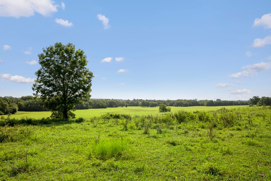 More Photos Of 18121 TX-105, Plantersville Land For Sale