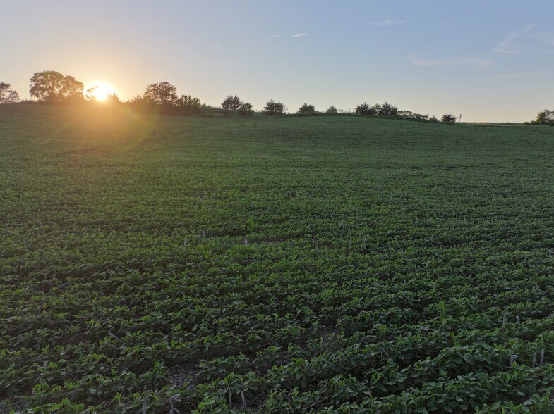 More Photos Of 12841 Wittstruck Road, Crete Land For Sale