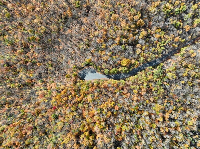 More Photos Of Ch Du Vison, Lac-superieur Land For Sale