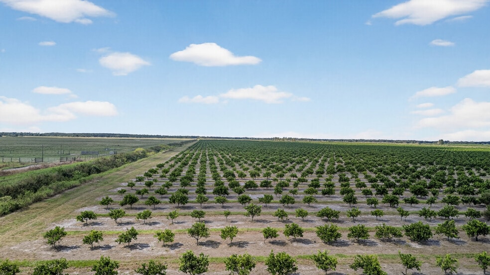 More Photos Of 8476 Ten Mile Grade, Zolfo Springs Land For Sale