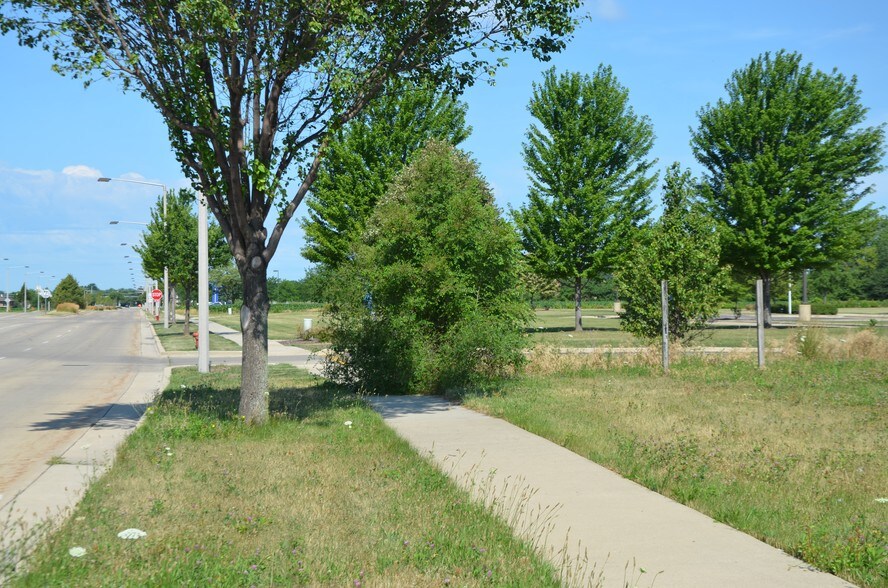 More Photos Of 721 Crimson Ln, Yorkville Land For Sale