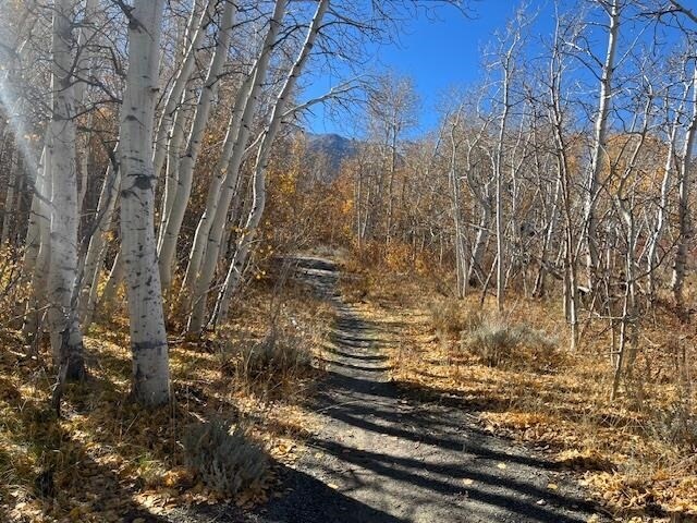 Primary Photo Of 3927 Crowley Lake Dr, Mammoth Lakes Land For Sale
