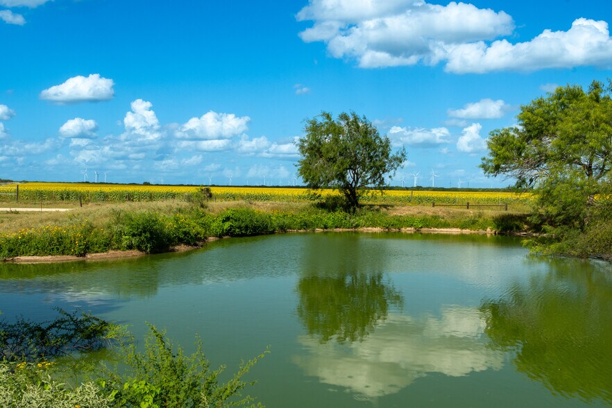 More Photos Of Las Brisas Road, Rio Grande City Land For Sale