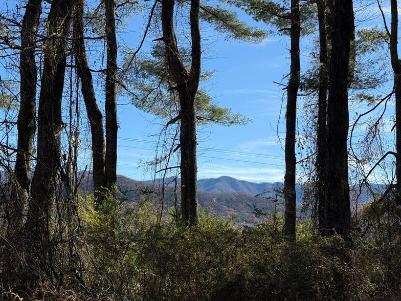 More Photos Of 00 Airport Rd, Andrews Land For Sale