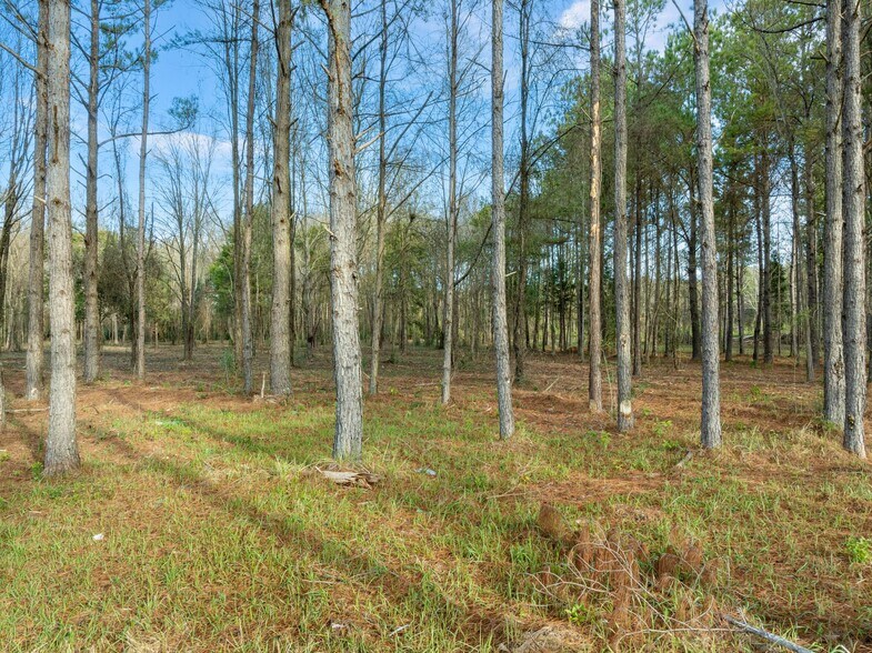 More Photos Of 1115 Evelyn Gandy Pky, Petal Land For Sale