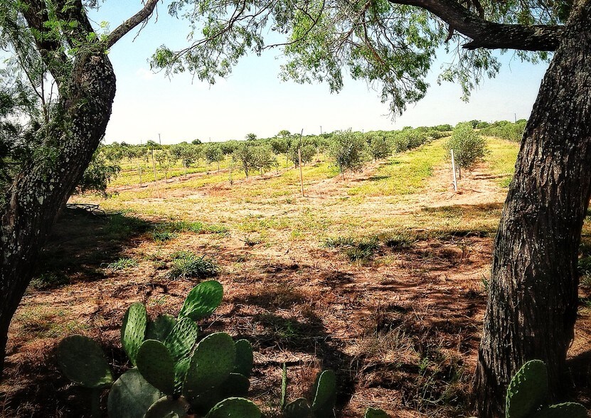 More Photos Of 9846 CR 260, Realitos Land For Sale